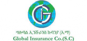 Global Insurance