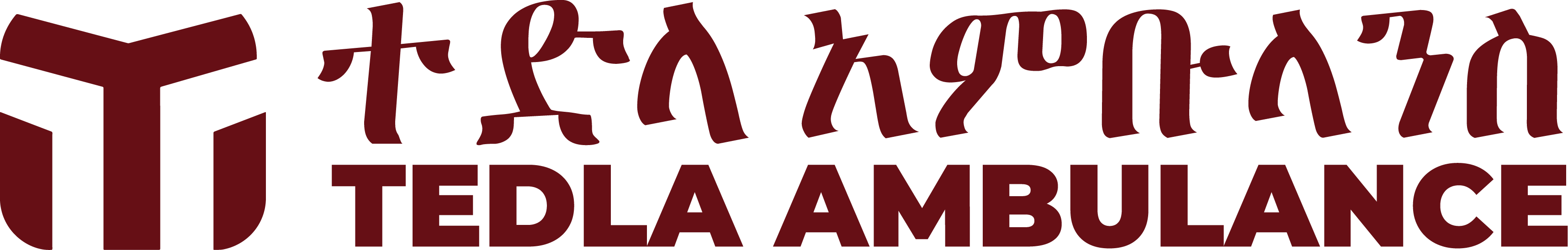 Tedla Ambulance Services PLC